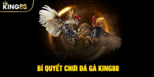 Bí Quyết Chơi Đá Gà