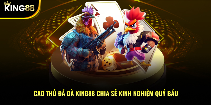 Cao thủ đá gà KING88 chia sẻ kinh nghiệm quý báu