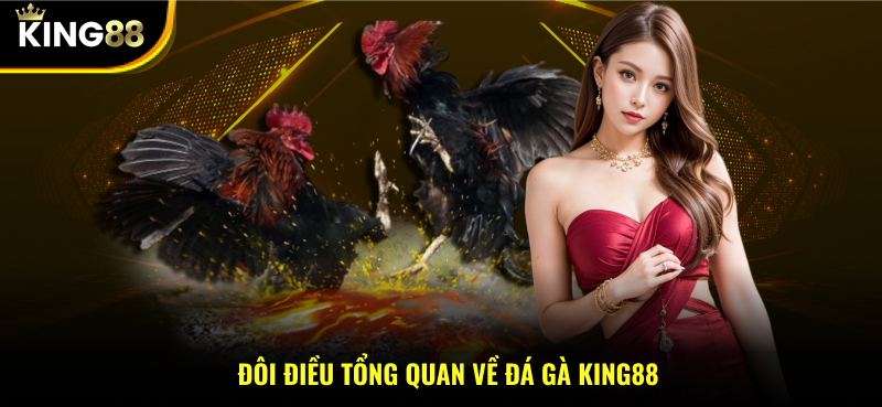 Đôi điều tổng quan về đá gà KING88